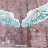 パームビーチ 天使の羽の写真・動画_image_642697