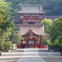 鶴岡八幡宮の写真・動画_image_658022