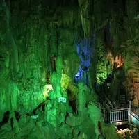 あぶくま洞の写真・動画_image_667137