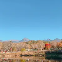 八ヶ岳自然文化園の写真・動画_image_680431