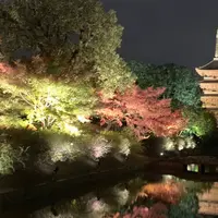 東寺 五重塔の写真・動画_image_691281