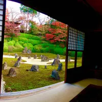 東福寺　光明院の写真・動画_image_697797