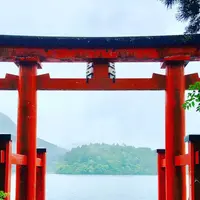 箱根神社の写真・動画_image_699934