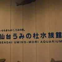 仙台うみの杜水族館の写真・動画_image_706734