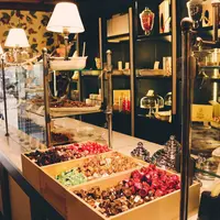 Odilla Chocolatの写真・動画_image_712852