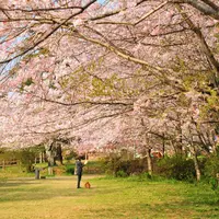 小見川城山公園の写真・動画_image_713020