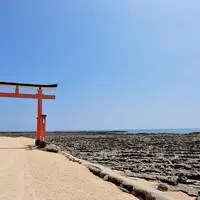 青島神社の写真・動画_image_717270