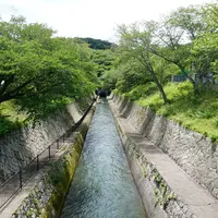 琵琶湖疏水の写真・動画_image_721149