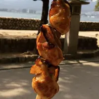 Miyajima Grilled Oysters (Parrilla Ostras)の写真・動画_image_728233
