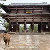 東大寺の写真・動画_image_737828