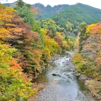 海沢川の写真・動画_image_755334