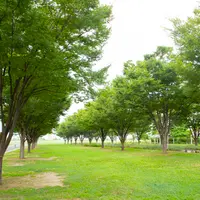 そなエリア東京BBQガーデン （東京臨海広域防災公園）の写真・動画_image_755711