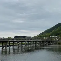 渡月橋の写真・動画_image_758169