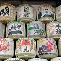 松尾大社の写真・動画_image_763493