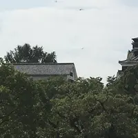 熊本城の写真・動画_image_789854