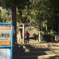 伊豆山神社の写真・動画_image_790545