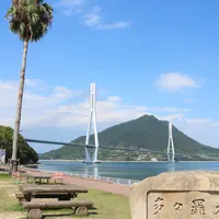 上浦レンタサイクルターミナル（道の駅「多々羅しまなみ公園」）の写真・動画_image_801317