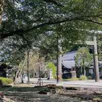 護国神社儀式殿の写真・動画_image_811146