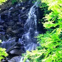 不老の滝の写真・動画_image_82263