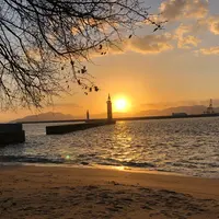 元宇品公園の写真・動画_image_834391