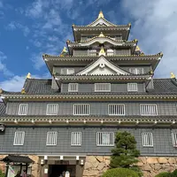 岡山城の写真・動画_image_849995