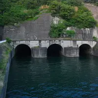 狩野川放水路の写真・動画_image_85275
