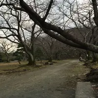 福岡城 本丸御殿跡の写真・動画_image_869088