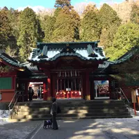 箱根神社の写真・動画_image_879894