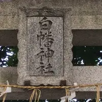 白幡神社の写真・動画_image_879913