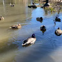 宝来公園の写真・動画_image_881832