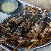 養沢フィッシングランドの写真・動画_image_883416