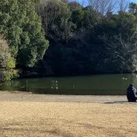 鴨池公園の写真・動画_image_883938