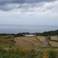 東後畑棚田の写真・動画_image_894061