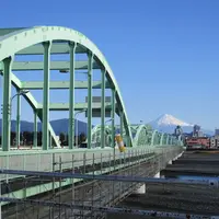 安倍川橋の写真・動画_image_894623