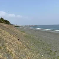 照ヶ崎海岸の写真・動画_image_899912