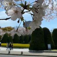 平和記念公園の写真・動画_image_900224