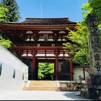 室生寺の写真・動画_image_911127
