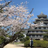 岡山城の写真・動画_image_911544