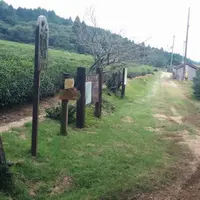 鈴鹿峠の写真・動画_image_916777