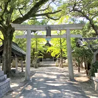 春日神社の写真・動画_image_921692