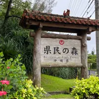 県民の森の写真・動画_image_925079