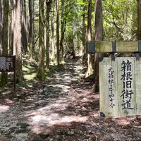旧東海道石畳の写真・動画_image_925841