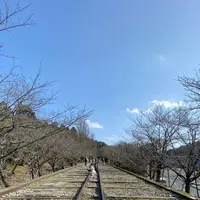 蹴上インクラインの写真・動画_image_928317