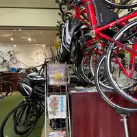 THE RED BICYCLES ONOMICHIの写真・動画_image_931663