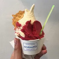 YOKOHAMA SORAiRO gelatoの写真・動画_image_932285