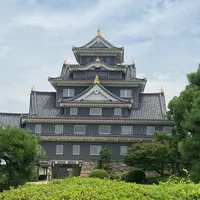 岡山城の写真・動画_image_942401