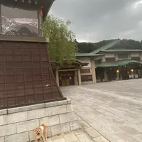 加賀　山中温泉　菊の湯の写真・動画_image_945291