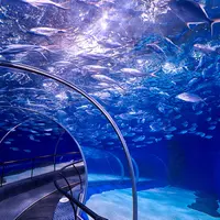 Shanghai Ocean Aquariumの写真・動画_image_955707
