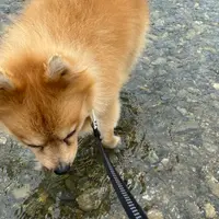 倉敷ダムの写真・動画_image_965687