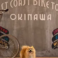 SHUHARI BIKE WORKS OKINAWA (自転車研究工房 守破離） 北谷町美浜 レンタサイクル オリジナルバイク制作の写真・動画_image_966326